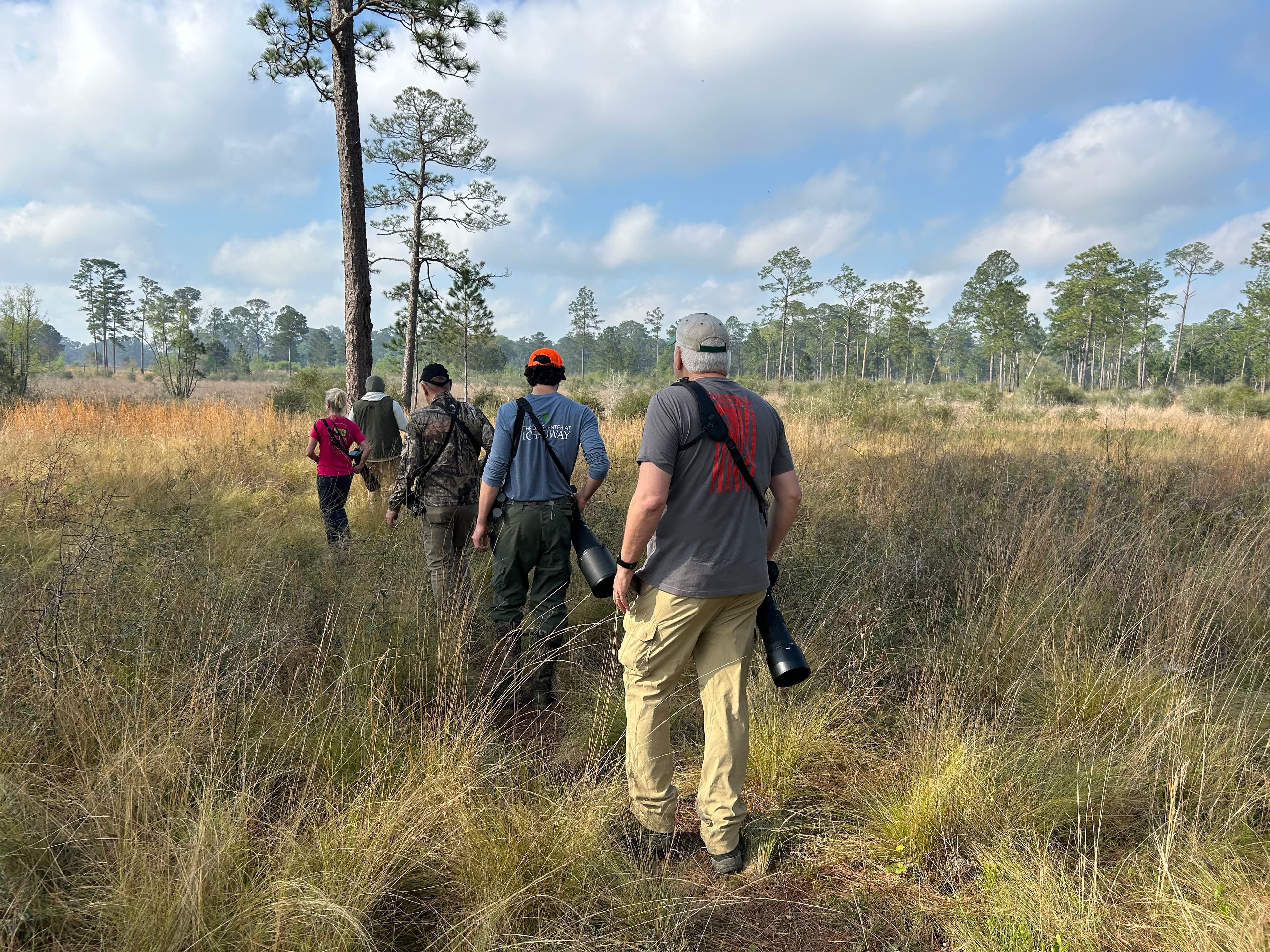 A group of four people walks through a grassy field, each carrying a firearm.