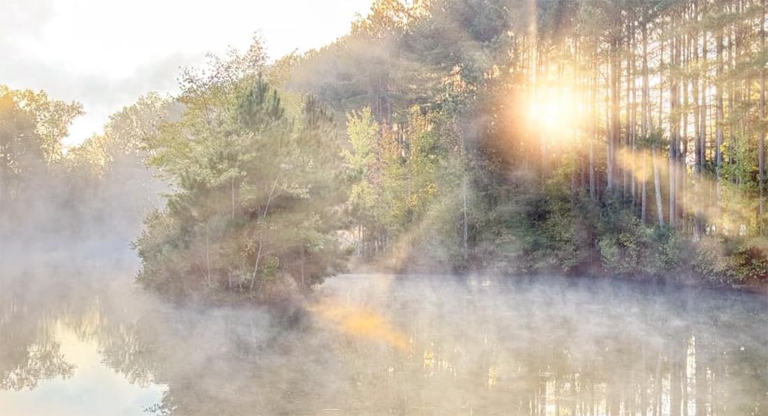 A tranquil scene of a misty lake surrounded by trees with sunlight breaking through the fog.
