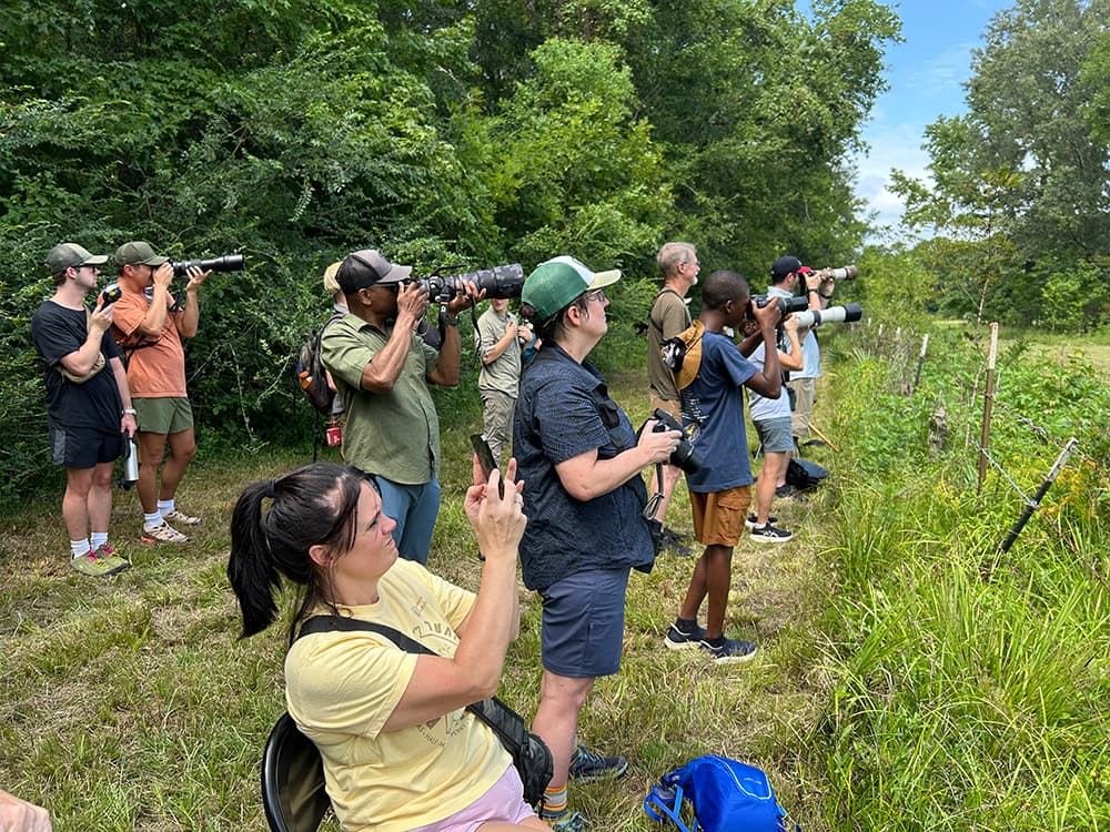 A group of participants stands in a grassy area, photographing birds with cameras and binoculars while surrounded by trees.